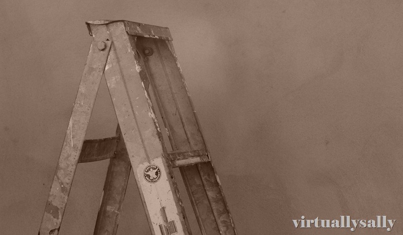 a ladder