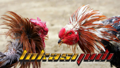  S128 Game Ayam