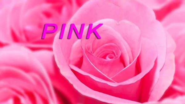 Arti Warna Pink Dalam Cinta dan Kehidupan dan Simbolisme