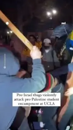 Canada Palestine solidarity Zionists JDL assault UCLA police fascism Blackshirts thugs goons student activism slander smears Kinsella mendacity calumny