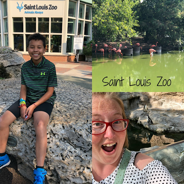 Saint Louis Zoo Saint Louis, Missouri