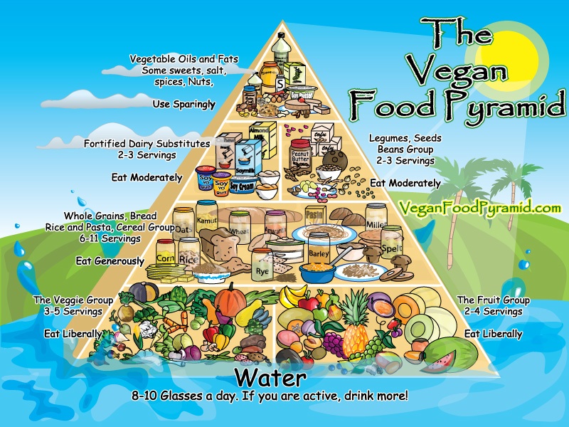 South+african+food+pyramid