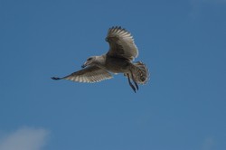 Pentax K100D Super imagen de muestra