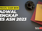 Jadwal Seleksi CPNS dan PPPK 2023 Telah Diumumkan