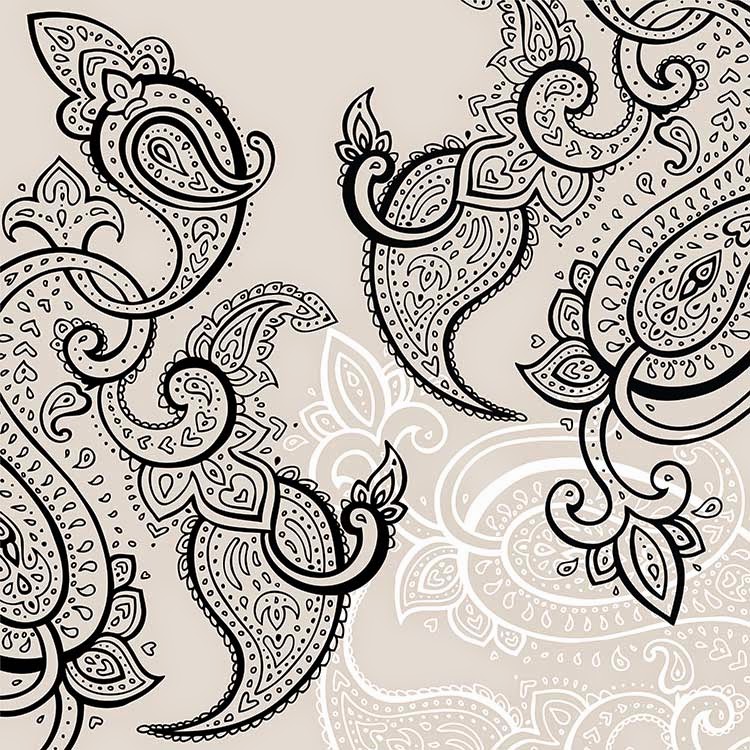 Ornament 3 Hand Drawn Paisley ornament Vector Plus