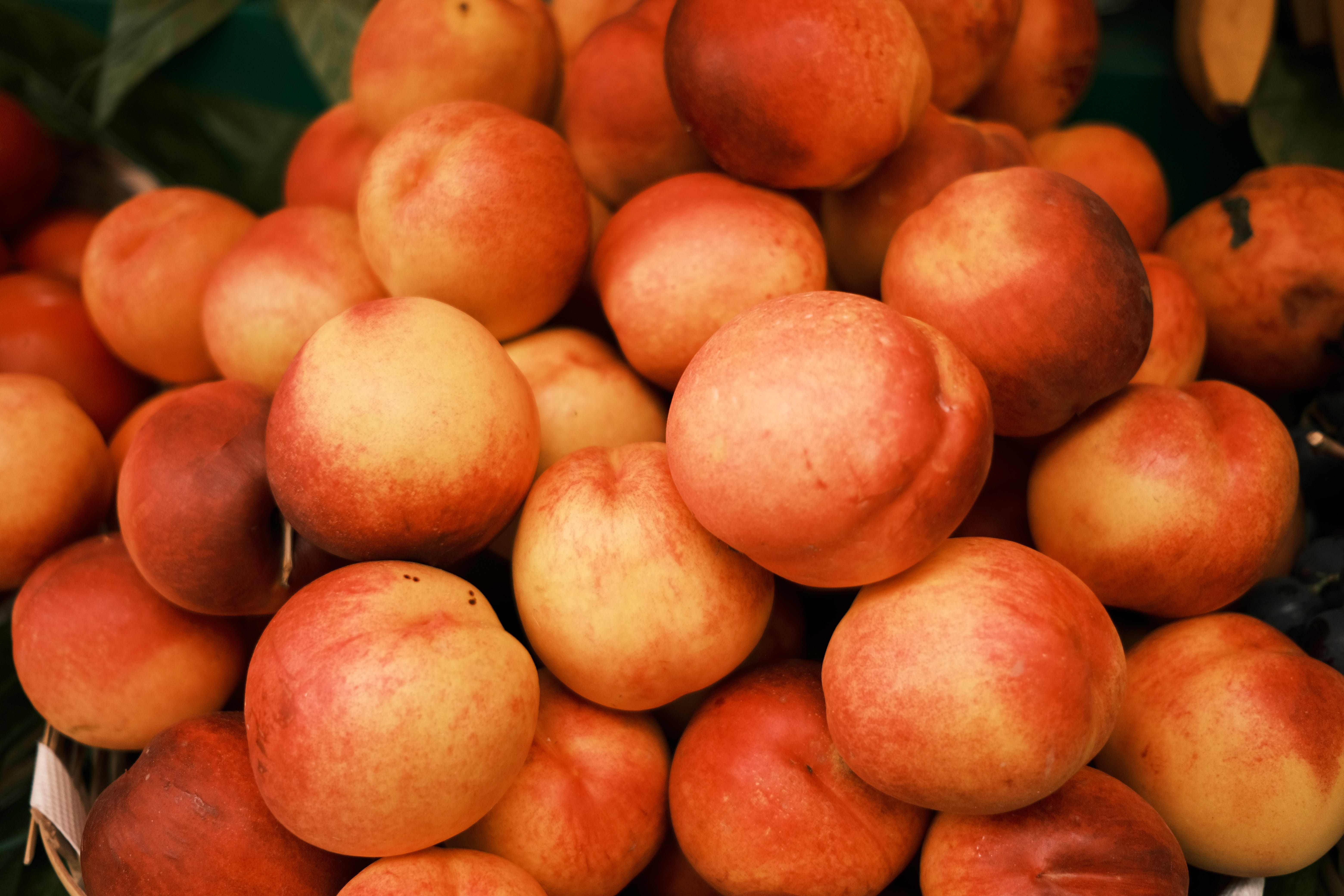 What Are The Benefits of Eating Peach? : A Delicious Summer Fruit