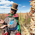 La quinua boliviana podrá ingresar con arancel cero a países de Centroamérica