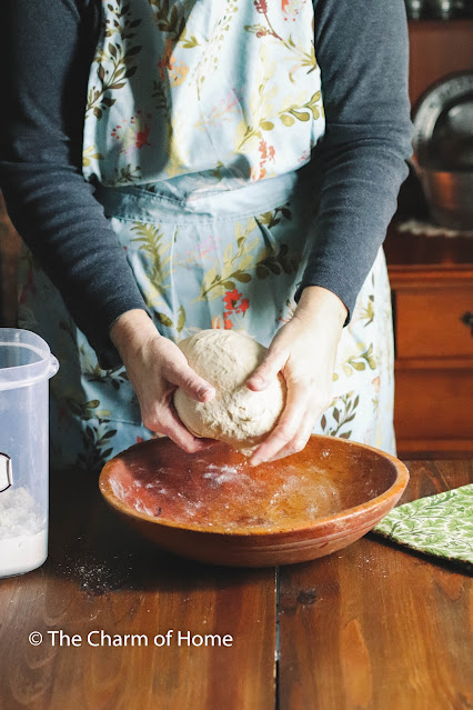 Pizza Dough From Scratch