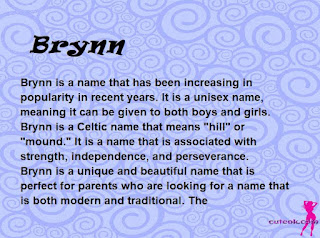 meaning of the name "Brynn"