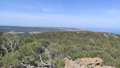 Vista panorámica desde Sa Fita