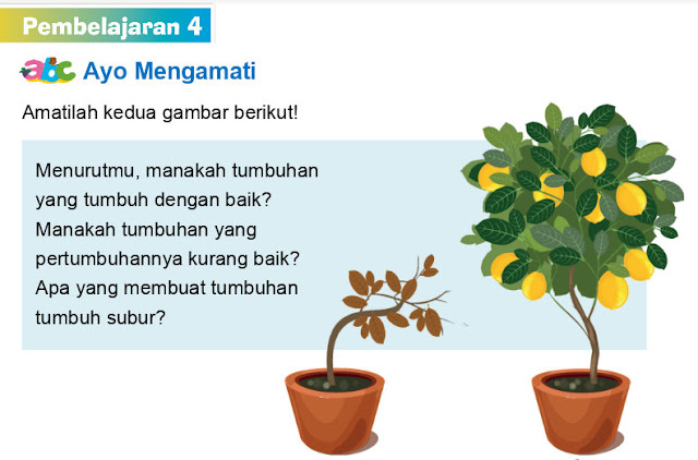 Download Power Point Tematik Terpadu Kelas 3   Tema  1 Subtema 1 Pembelajaran 4   Tahun 2018/2019