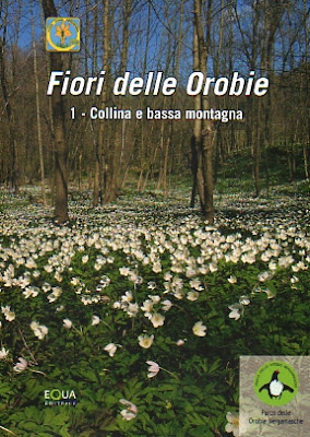 Fiori delle Orobie series. 1. Collina e bassa montagna.