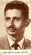الشاعر محسن بن أحمد مهدي