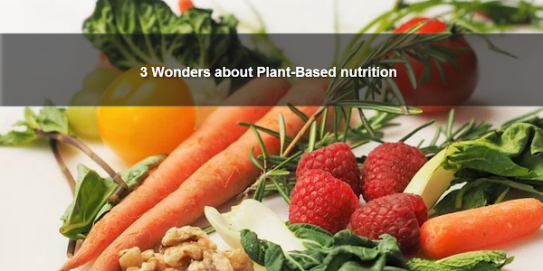 3 wonders about plant-based nutrition