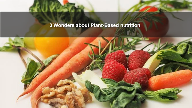 3 wonders about plant-based nutrition