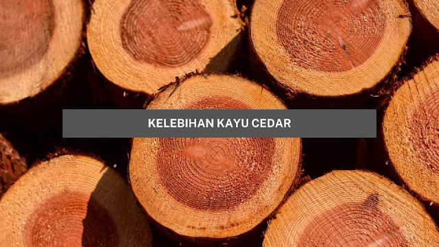 Kelebihan dan Kekurangan Kayu Cedar