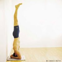 Salamba Sirsasana (Supported Headstand)