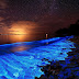 Glowing bioluminisant  beach in Maldives 
