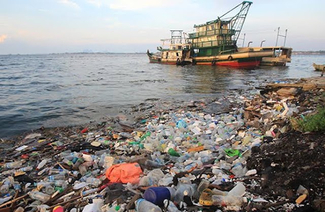 How To Save Oceans From Pollution 