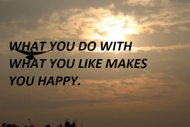 WHAT YOU DO WITH WHAT YOU LIKE MAKES YOU HAPPY.