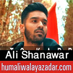 shiahd.blogspot.com/2017/09/ali-shanawar-nohay-2007-to-2018.html