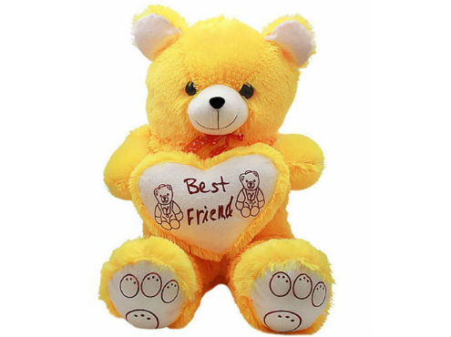 Best Friend Teddy Bear Pictures