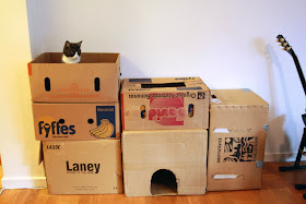 Funny cats - part 88 (40 pics + 10 gifs), cat plays in a box fortress