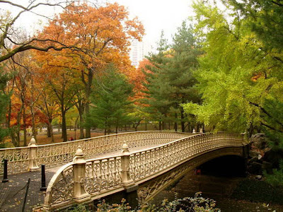 Cool and Beautiful Scary Bridges