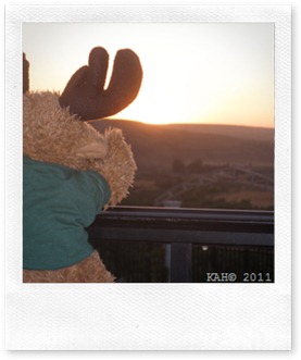 Watching the Sunrise#1