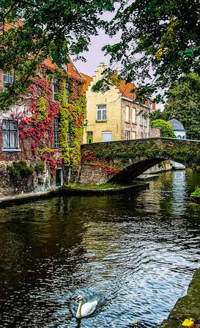 Breathtaking image of Bruges, Belgium with its medieval buildings and canal - found on Hello Lovely Studio