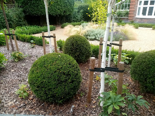 planting design