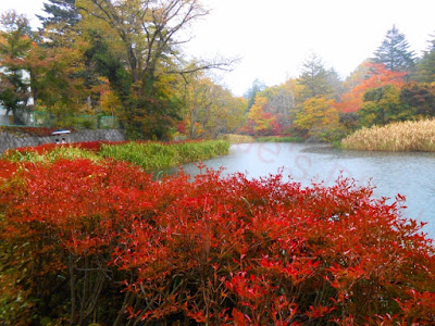 Kumobaike Karuizawa