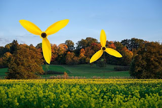 green energy,energy,renewable,light,flower