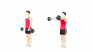 5 best shoulder exercises for beginners in gym(part 2) - fitness club