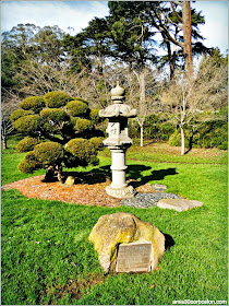 Japanese Tea Garden: San Francisco