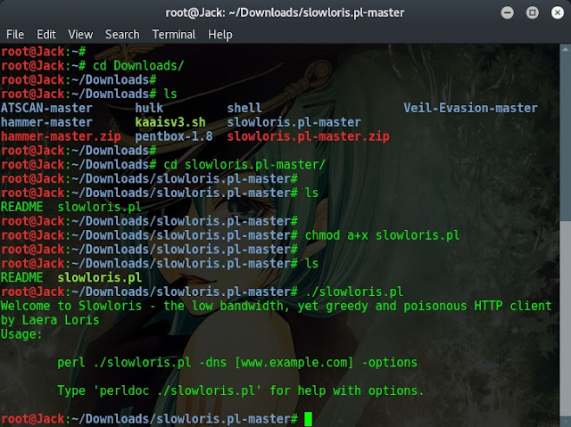 Cara Ddos dengan Slowloris Script di Kali Linux