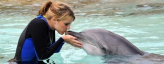 dolphin pictures, facts about dolphins, pictures of dolphins, about dolphins, dolphin facts, dolphins facts, dolphins schedule, facts on dolphins, dolphins 2010 schedule, dolphins pictures, dolphin pic, pictures dolphins, dolphins news, empathize, empathy sympathy, empathy define