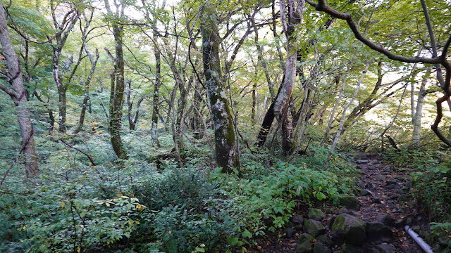 鳥取県西伯郡大山町大山 行者登山道