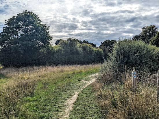 Turn right on Buntingford bridleway 3