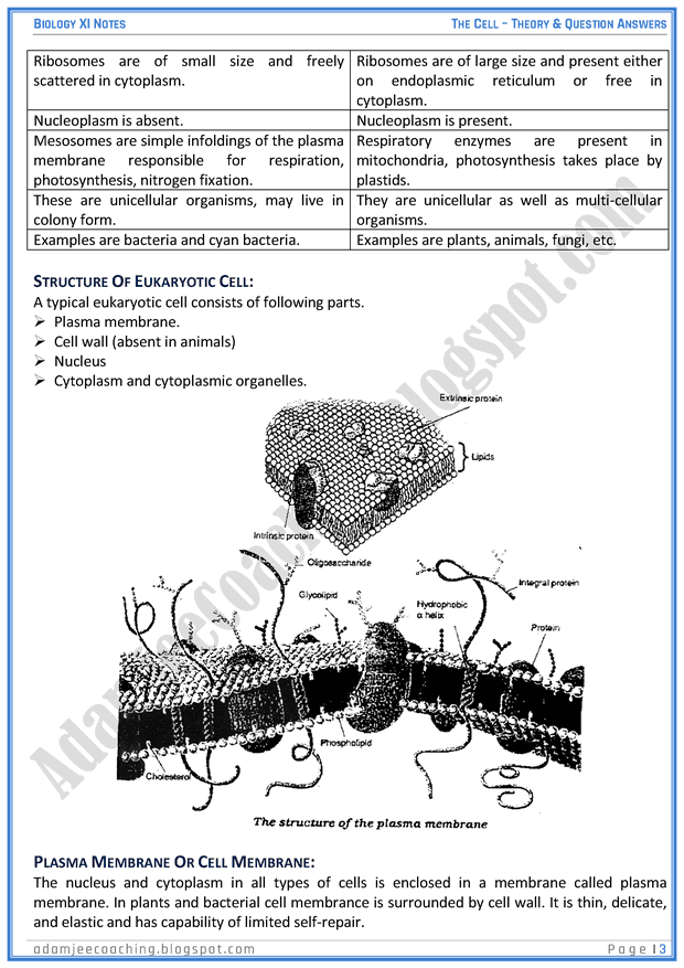 the-cell-descriptive-question-answers-biology-11th