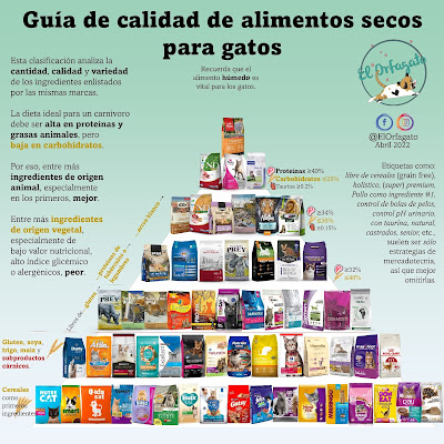 guia de calidad de alimento para gatos