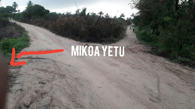 Wakazi wa Cheta wanataka Barabara, Shule, Umeme, Soko, Hospital, Maji, Msikiti na Kanisa