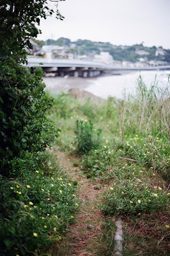 Path to the Beach by Lono_Luno