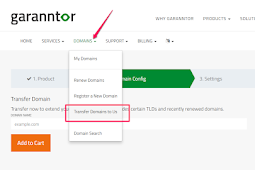 How To Transfer .Com Domain To Garanntor From DomainKing.Ng