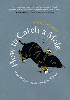 Review of How to Catch a Mole by Marc Hamer