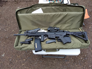 bushmaster ar10 308