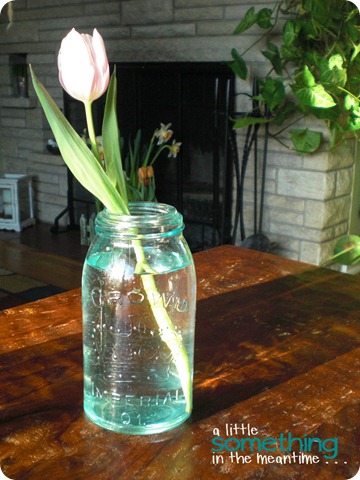 Tulip in Crown Jar