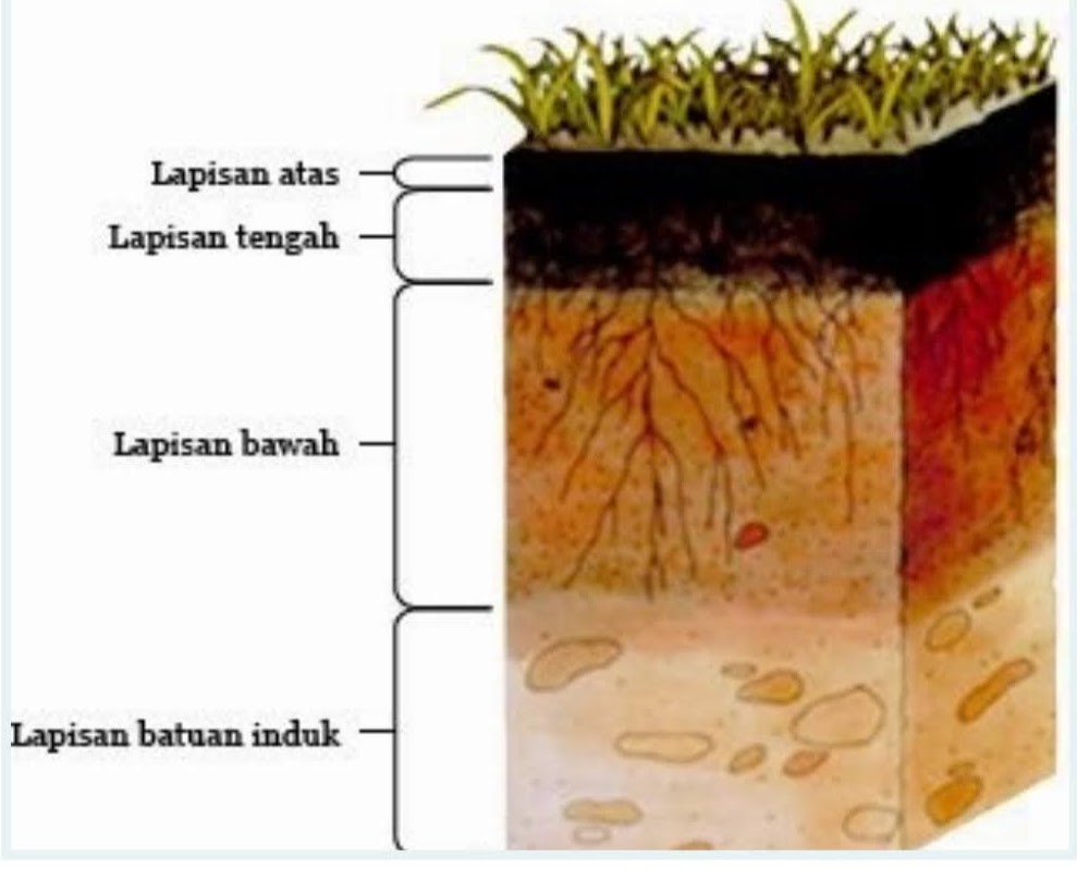 5 Lapisan tanah