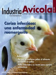 Industria Avicola. La revista de la avicultura latinoamericana 2020-05 - Julio 2020 | ISSN 0019-7467 | TRUE PDF | Mensile | Professionisti | Tecnologia | Distribuzione | Pollame | Mangimi
Established in 1952, Industria Avìcola is the premier Latin American industry publication serving commercial poultry interests.
Published in Spanish, Industria Avìcola is the region's only monthly poultry publication reaching an audience of 10,000+ poultry professionals in 40 countries.
Industria Avìcola founded and continues to administer the prestigious Latin American Poultry Hall of Fame.