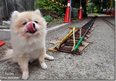 臺北機廠_鐵道文化節 (26)